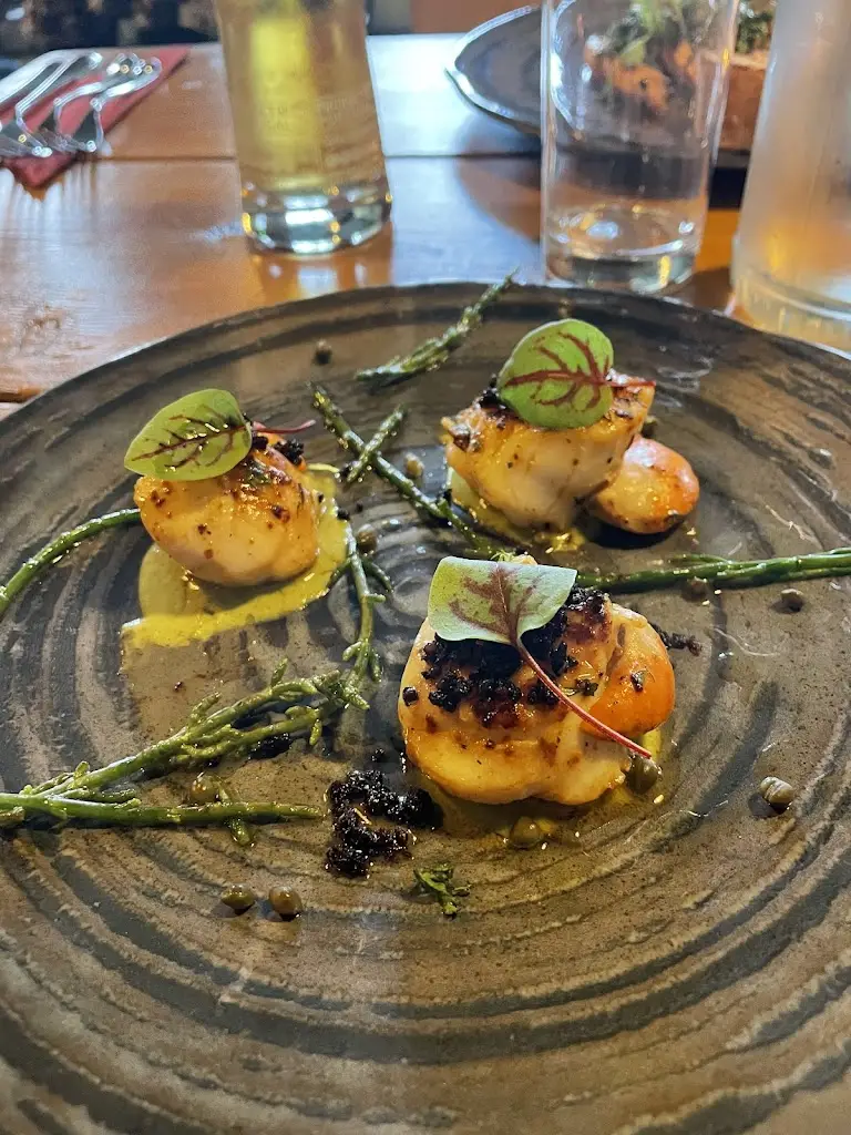 Bambu_Braunton_slider_image_3