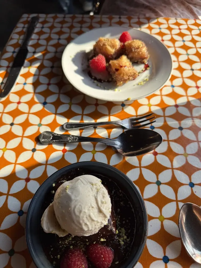 CCVOX Tuition_Otto Vegan Empire_Bramhall_review