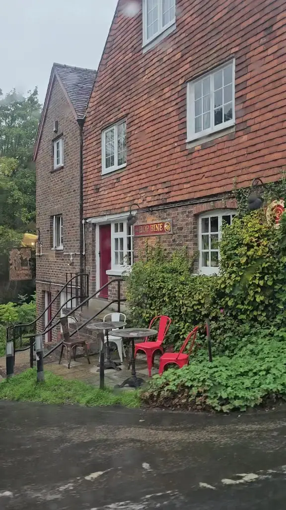 Fay Hamilton_The Hopbine Inn_Brenchley_review