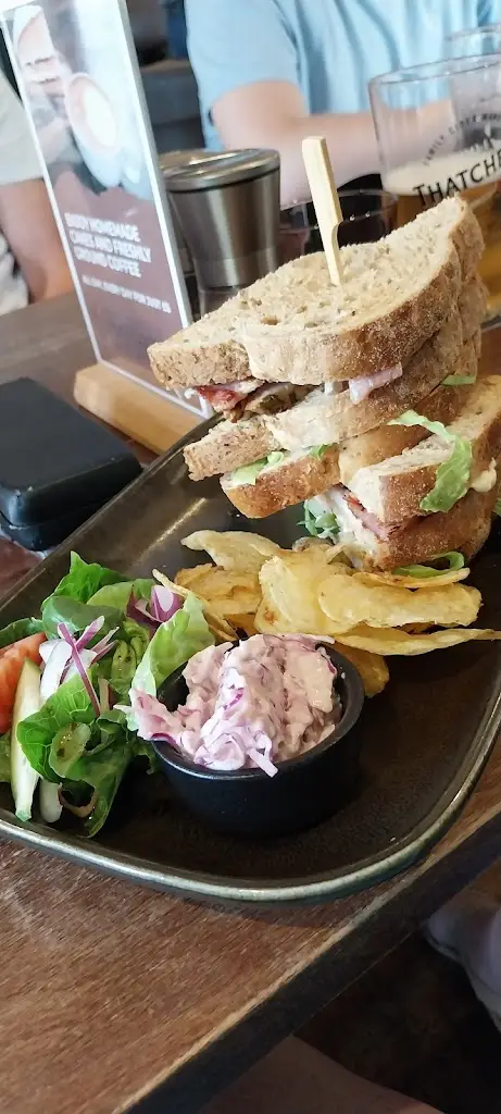 Judy Robins_The Fox & Goose Hotel Pub and Restaurant_Brent Knoll_review