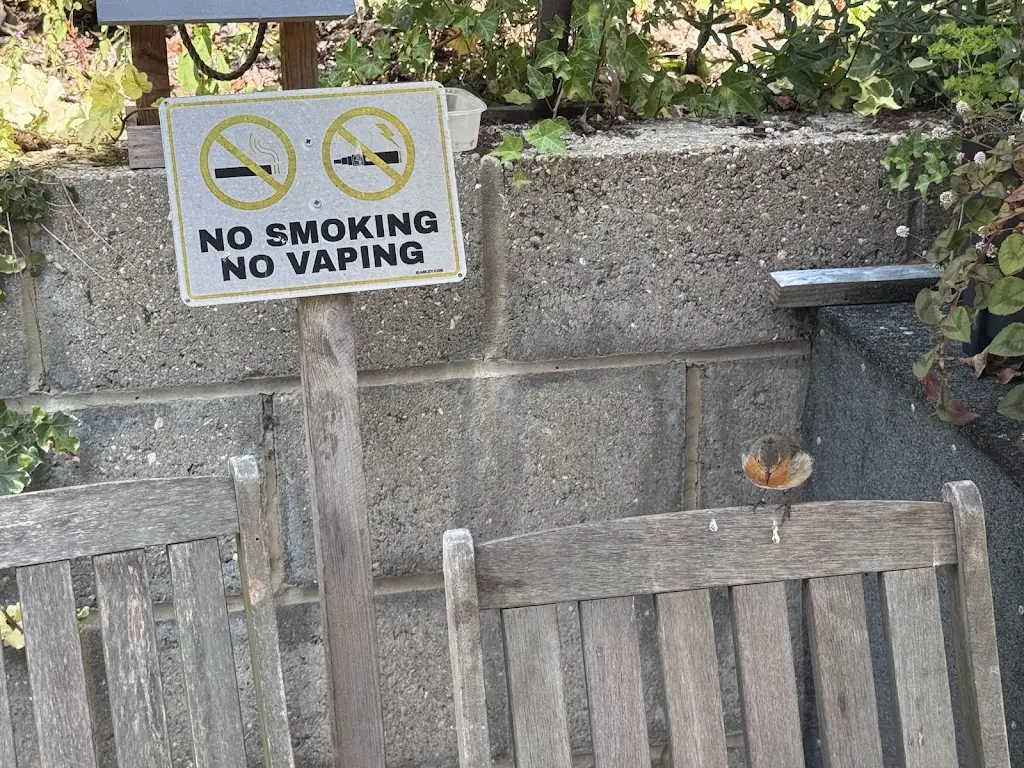 Jim Carter-White_The Robin's Nest tea rooms_Bransgore_review