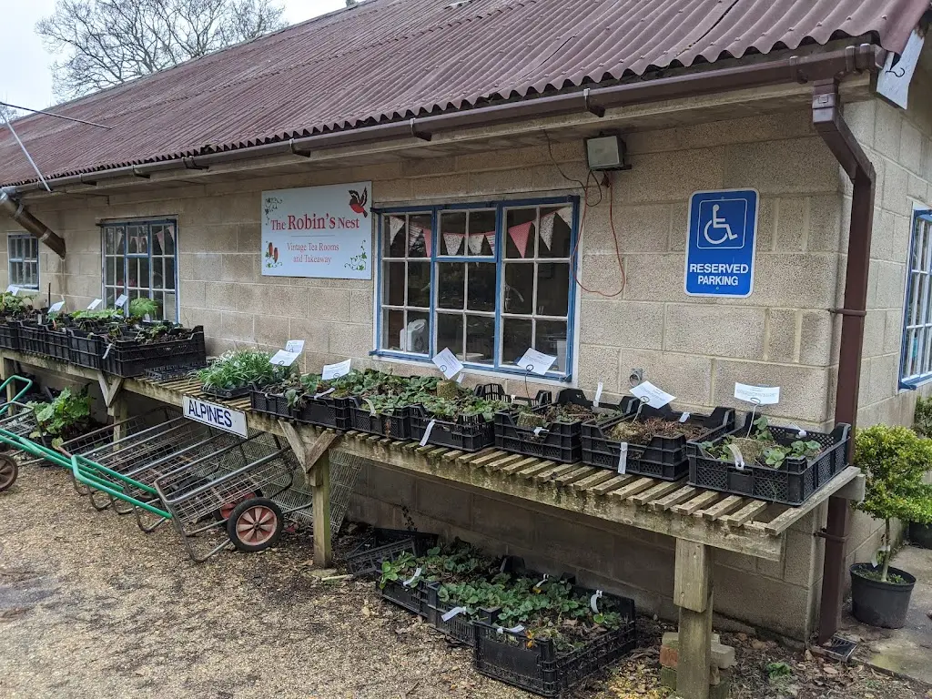 Simon “sid” Hibbert_The Robin's Nest tea rooms_Bransgore_review