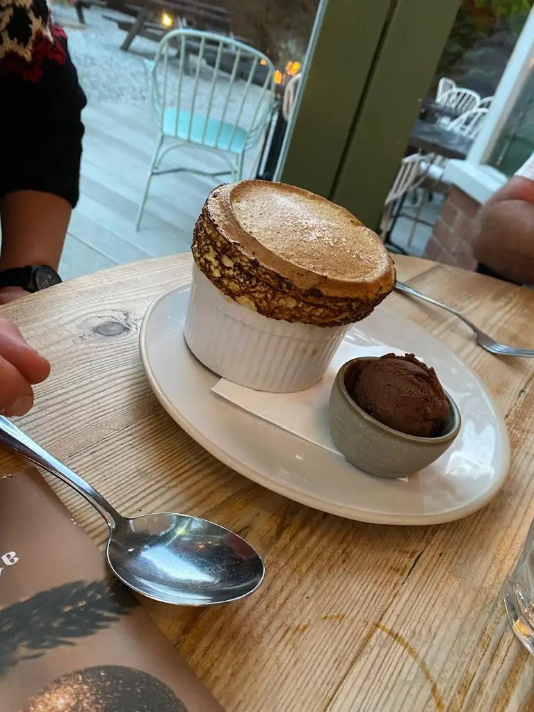 Luke Malone_The Oaks_Bransgore_recensione