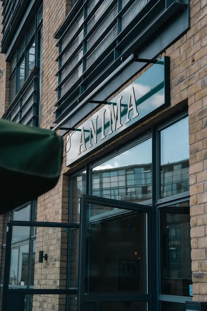 Vishal Makol_ANIMA Φ_Brentford_review