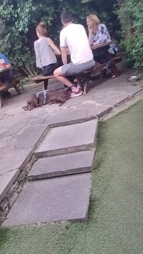 Rod O'Regan_The Black Dog Beer House_Brentford_review