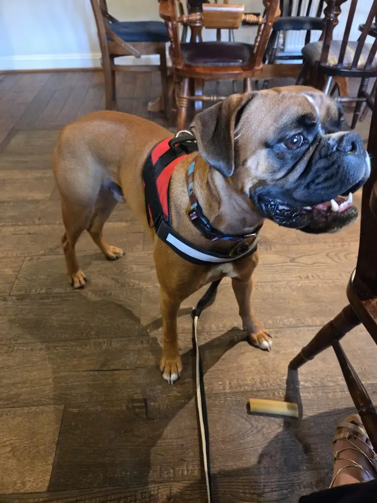 Sunny Side-up_Three Bishops_Brighstone_review