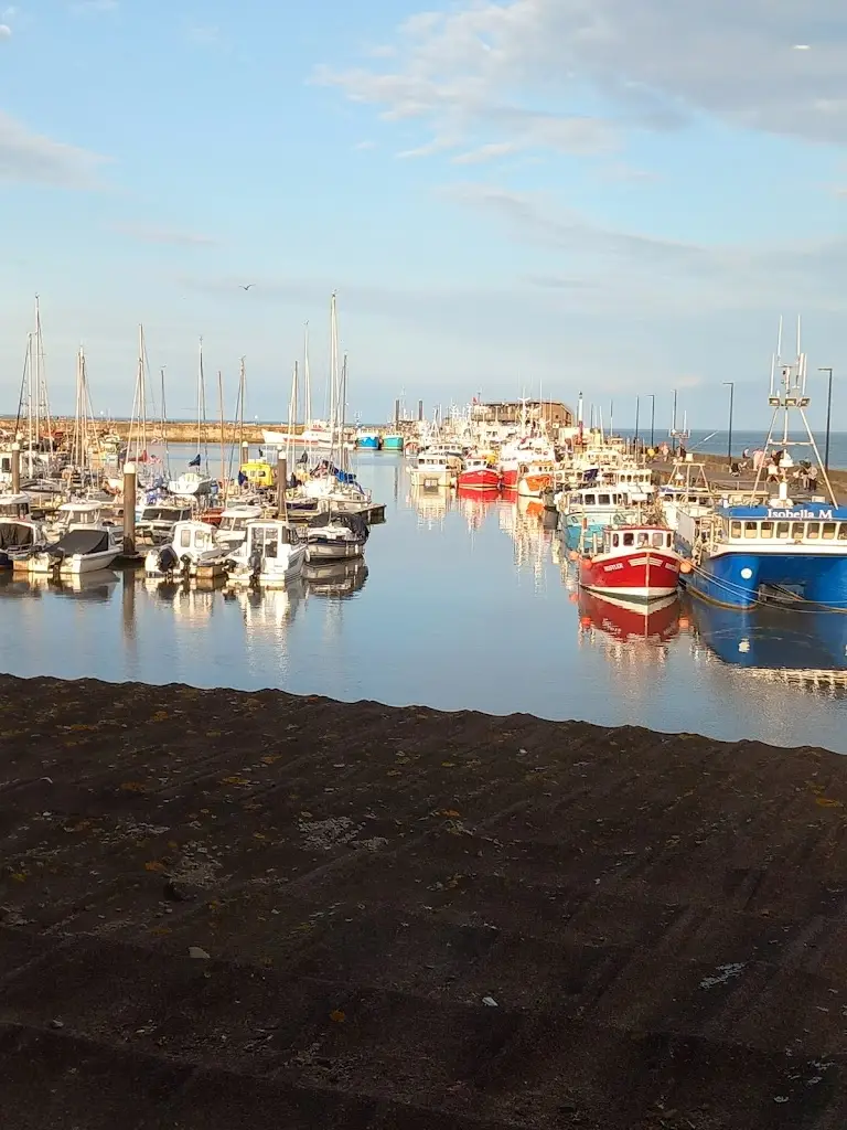 Julia Watchorn_Salt on the Harbour_Bridlington_recensione