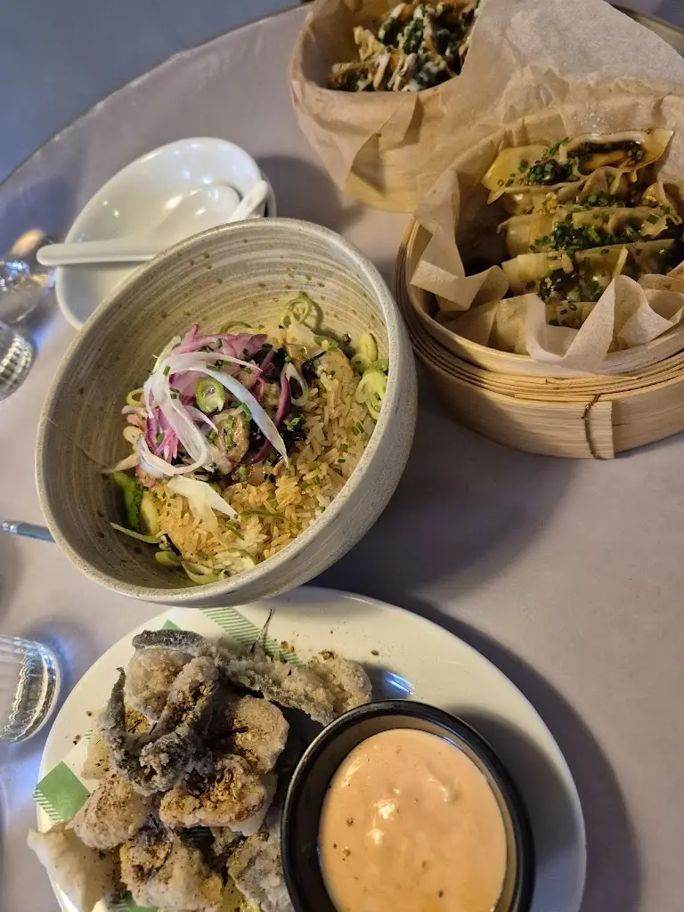 Vicki Ball_Dorshi_Bridport_review