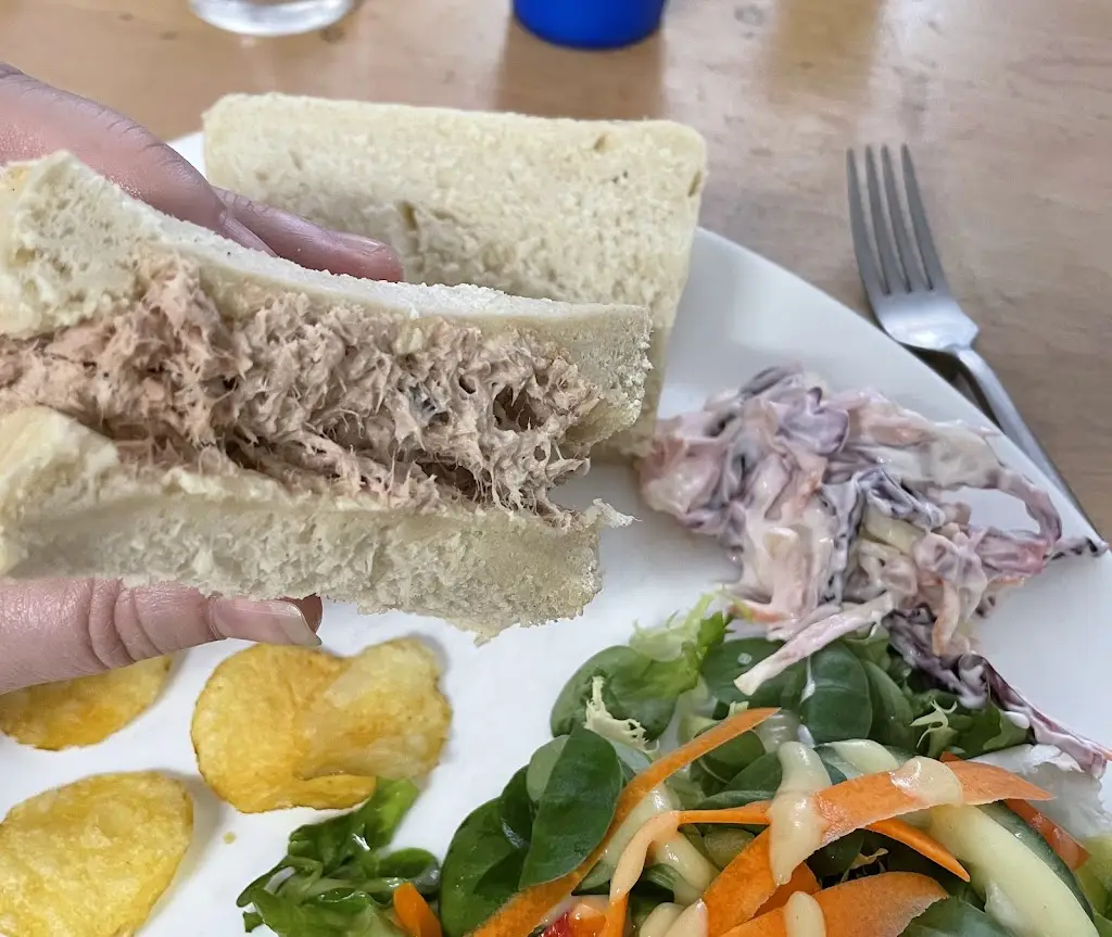 Google Curator_The Green Yard_Bridport_review