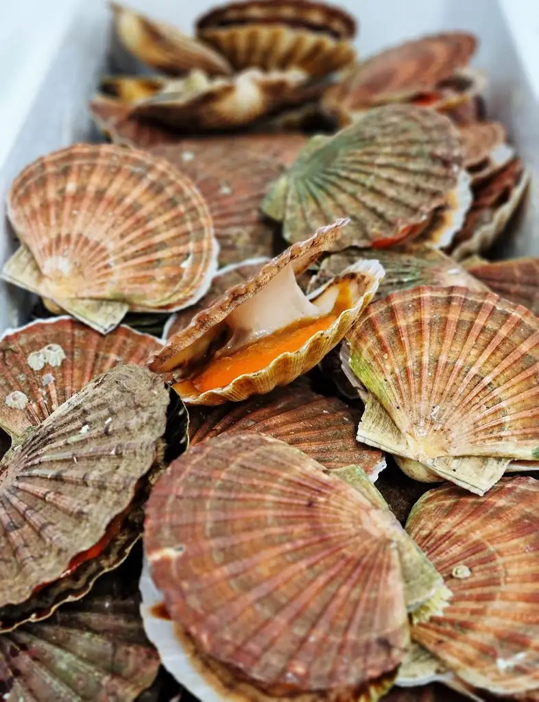 Menü_The Rosebud Pub & Seafood Restaurant_Brightlingsea_Bild_6