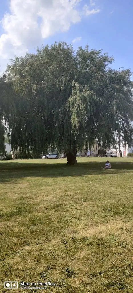 Thomas Dempsey_Brightlingsea Fish & Chips_Brightlingsea_review