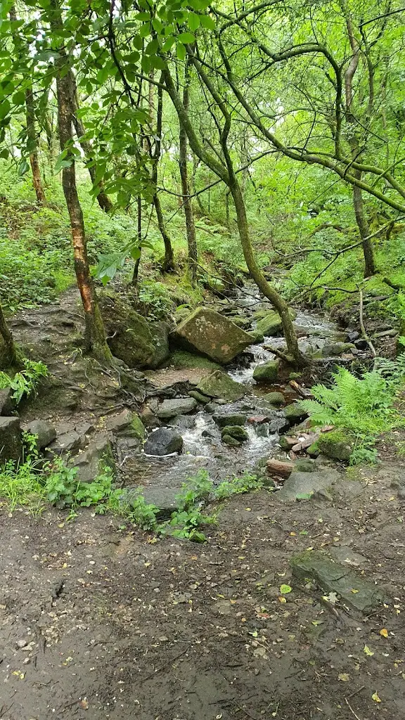 dd Parry_Murphy's Fish & Chips_Brinscall_review