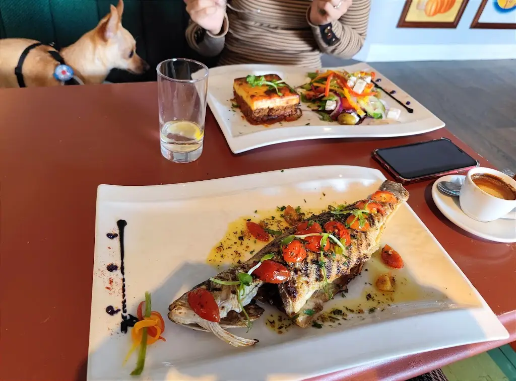 Mario Nedyalkov_Harvest Moon_Bridgwater_review