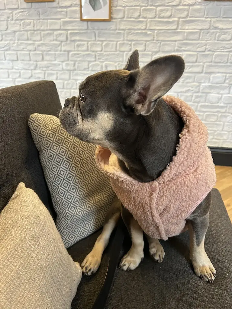 Hannah Page_The Workhouse_Brixworth_review