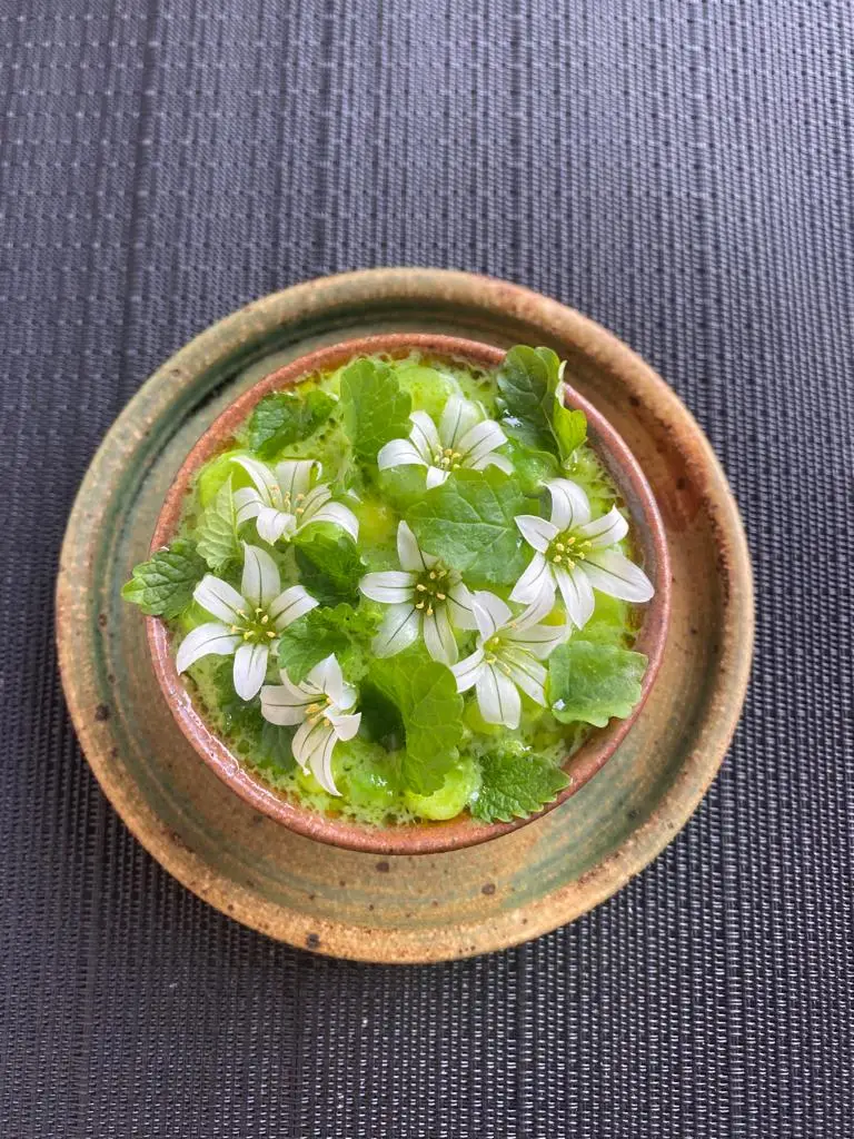 Bulrush_Briston_slider_image_3