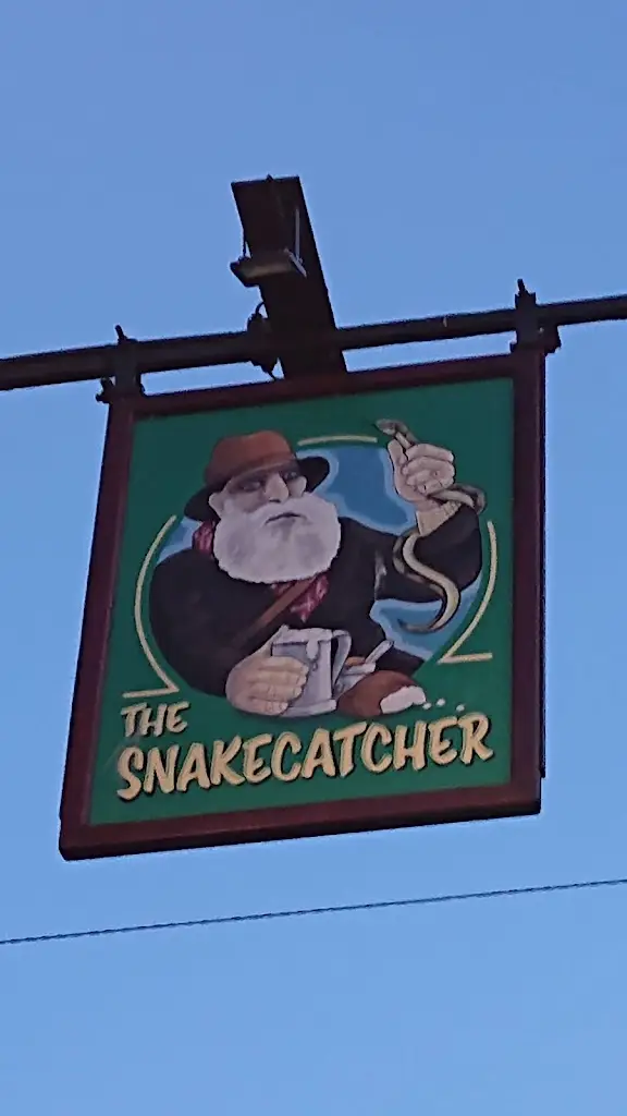 Sarah Harleyquinn_The Snakecatcher_Brockenhurst_review