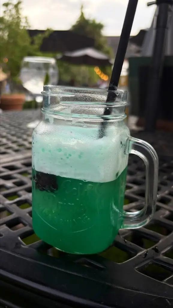 Lopamudra Panigrahi_The Snakecatcher_Brockenhurst_review