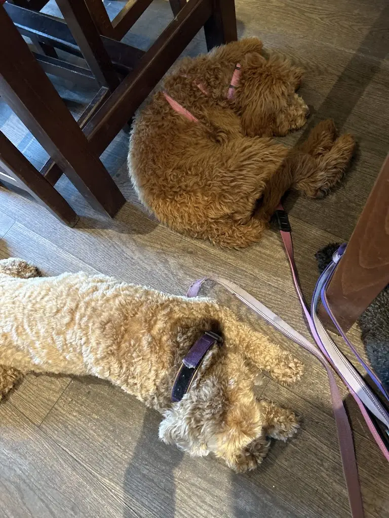 Inger Minter_Red Hawk_Brough_review