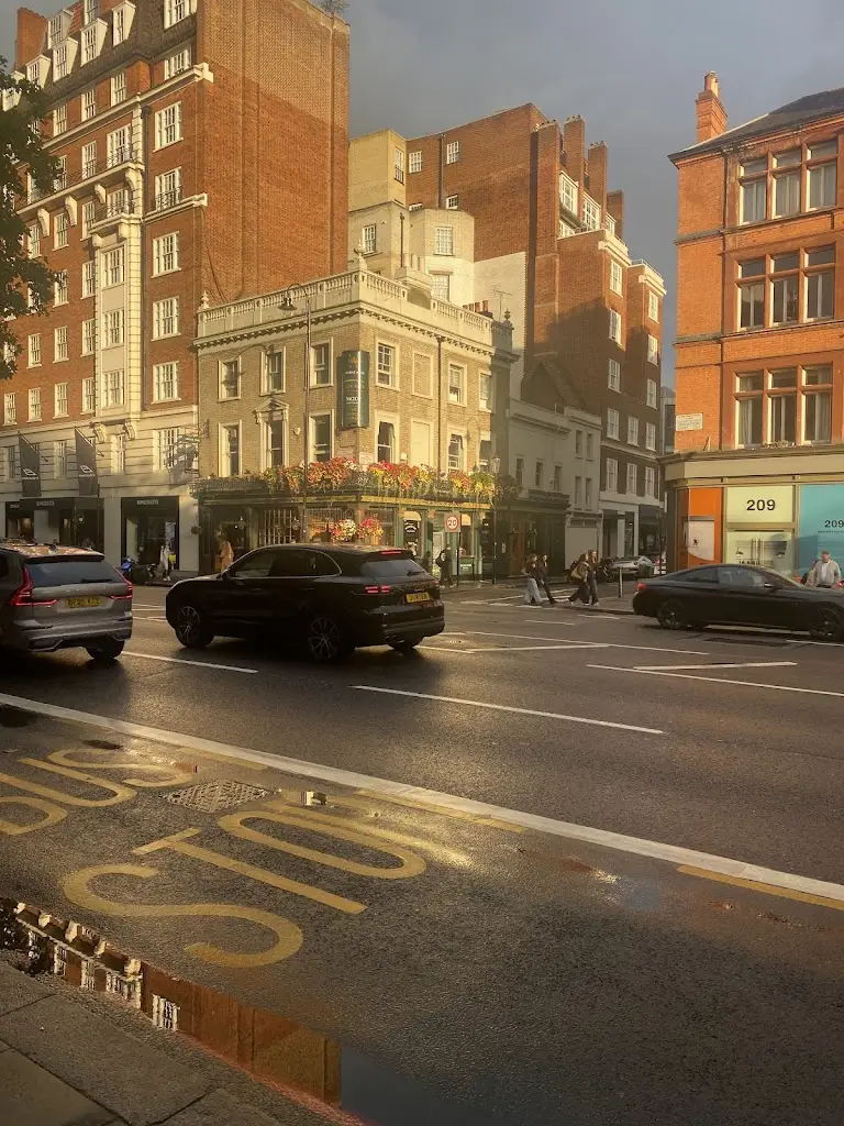 Johan Rosén_The Bunch Of Grapes_Brompton_review