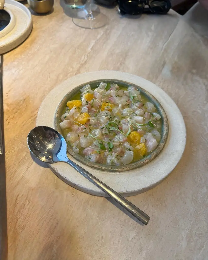 Dr Afshin_Myrtos by Asimakis_Brompton_review