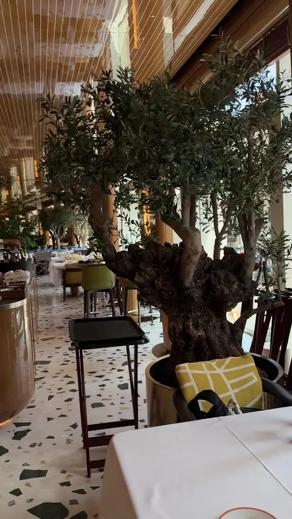 ALBA London - Italian Restaurant Knightsbridge_Brompton_slider_image_2