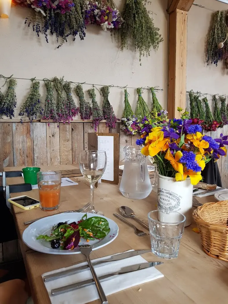 Menu_Riverford Field Kitchen - Organic Restaurant_Buckfastleigh_image_9