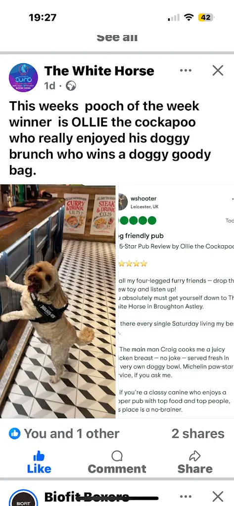 Wayne Shooter_White Horse_Broughton Astley_review