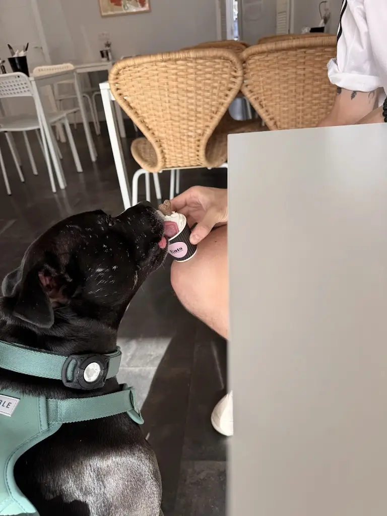 Billie-Jo_Eats on Main Street_Broughton Astley_review