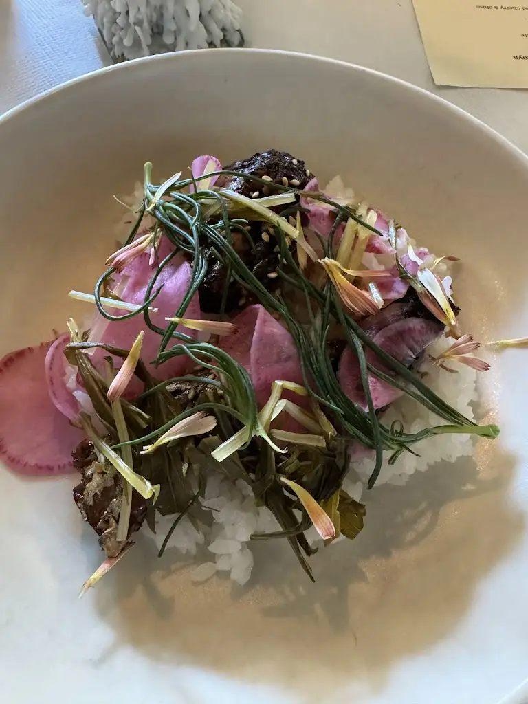 Jo Davies_The Old Pharmacy_Bruton_review