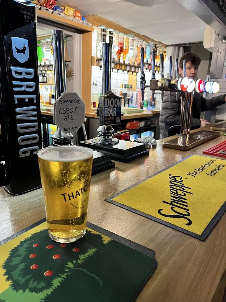 alicia wroblewska_The Sun Inn_Bruton_review