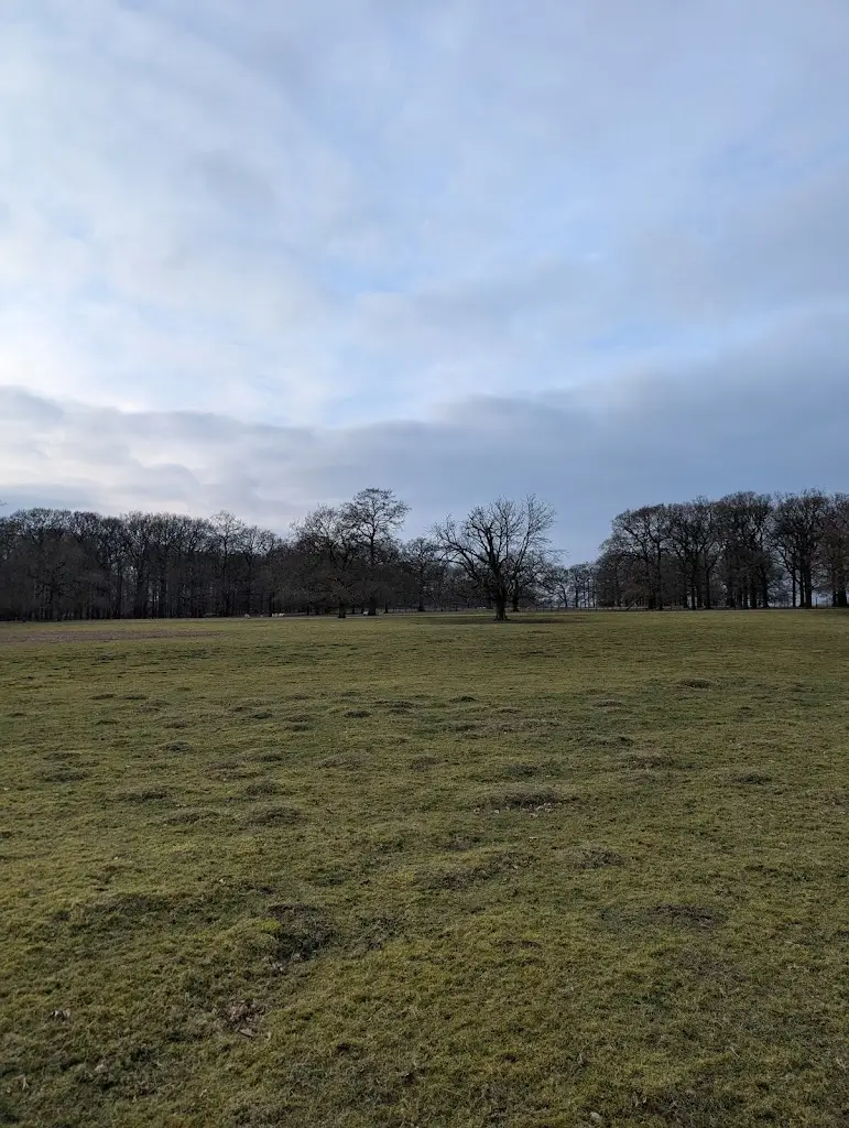 Aurora Horwood_Paris House_Buckinghamshire_Bewertung