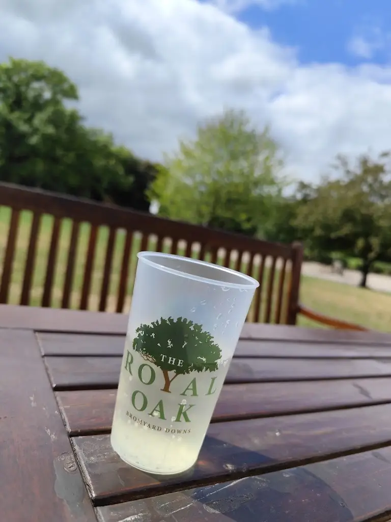 Ellie_The Royal Oak_Bromyard_review