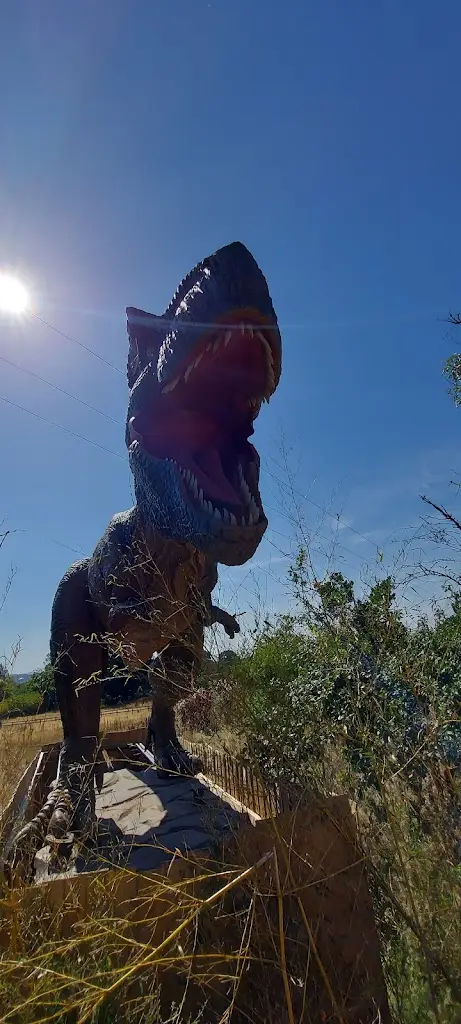 Wendy Diamond_Ralph Court Gardens_Bromyard_review