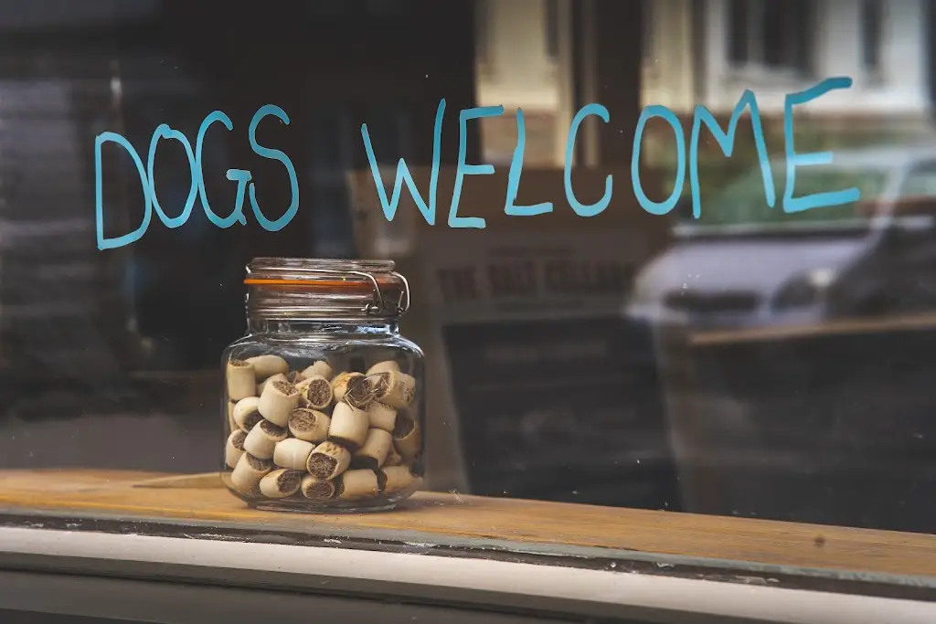 Menu_The Salt Cellars Café Budleigh Salterton_Budleigh Salterton_image_6