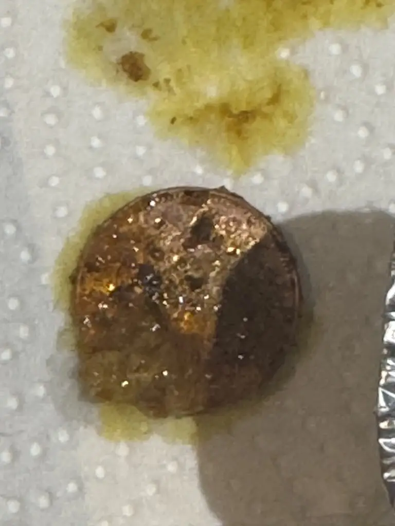 Bob Bobson_Taj Mahal Restaurant_Budleigh Salterton_Bewertung