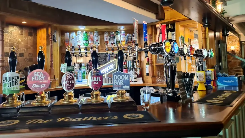 Daz “Harri” Harrison_The Feathers_Budleigh Salterton_review