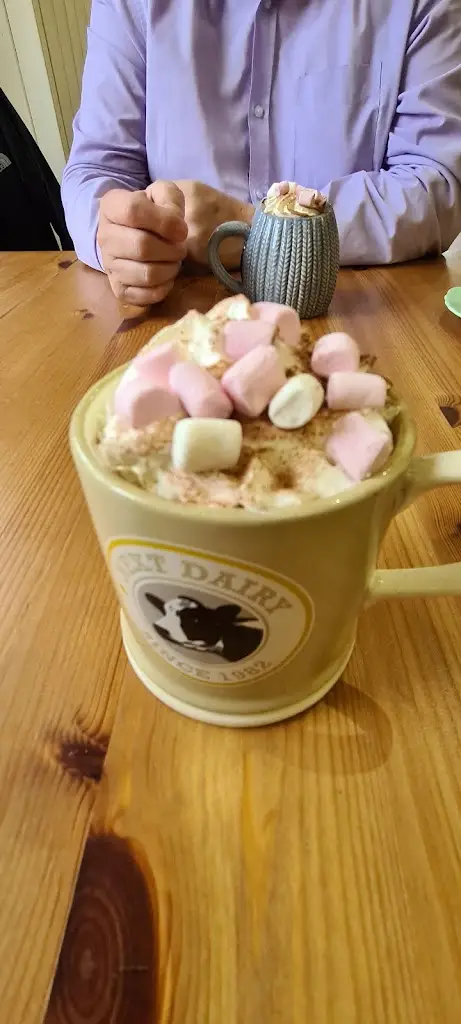 Menu_The Cosy Teapot_Budleigh Salterton_image_6