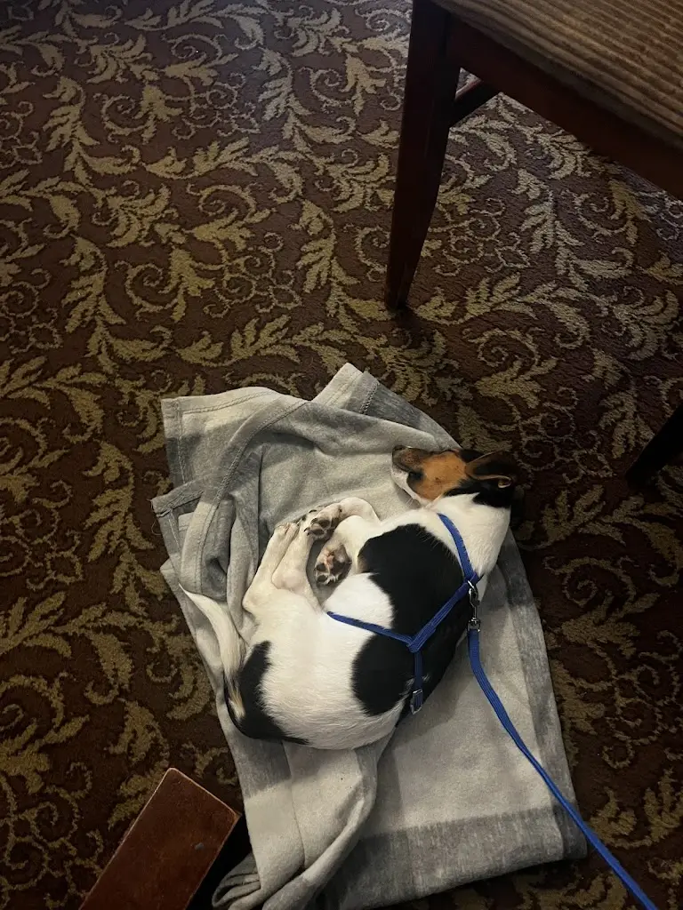 Ali Minimad_Narrow Boat at Weedon, Canalside Pub, Country Kitchen, Rooms_Bugbrooke_review