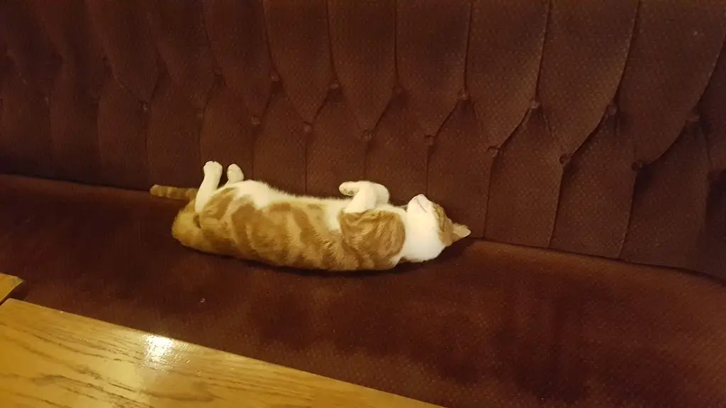 Menu_Fox & Duck_Buntingford_image_6