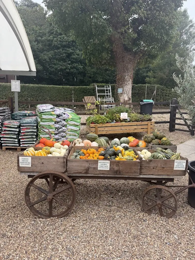 Pearce's Farm Shop & Cafe_Buntingford_slider_image_3