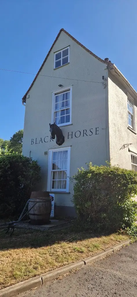 Elaine Mccrink_The Black Horse_Buntingford_review