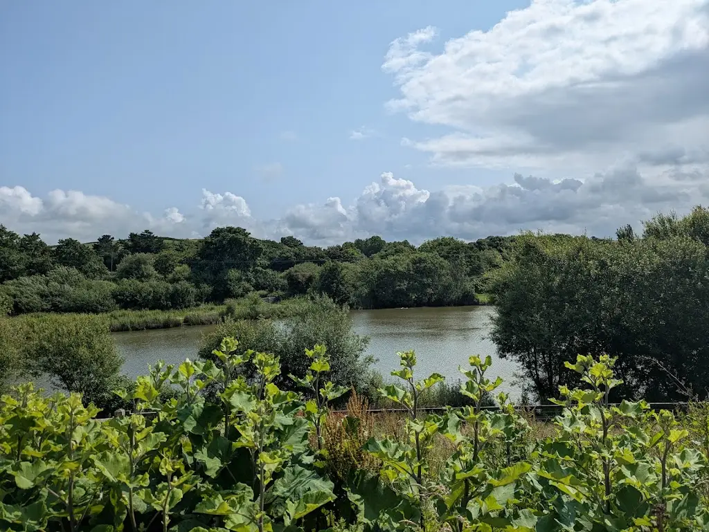 Suzanna White_The Weir Bistro_Bude_review