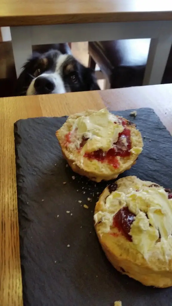 Menu_Riverlife Cafe_Bude_image_8