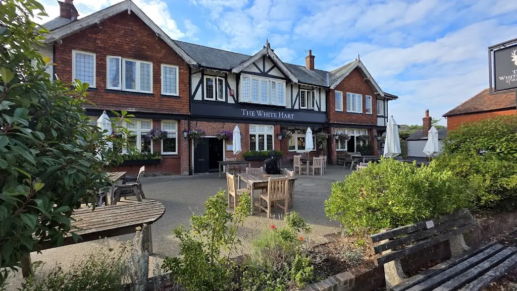 Rennie Schafer_The White Hart_Alton_review