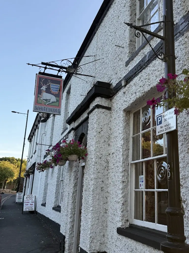 Bearded Wanderer_White Hart Hotel_Burgh le Marsh_review