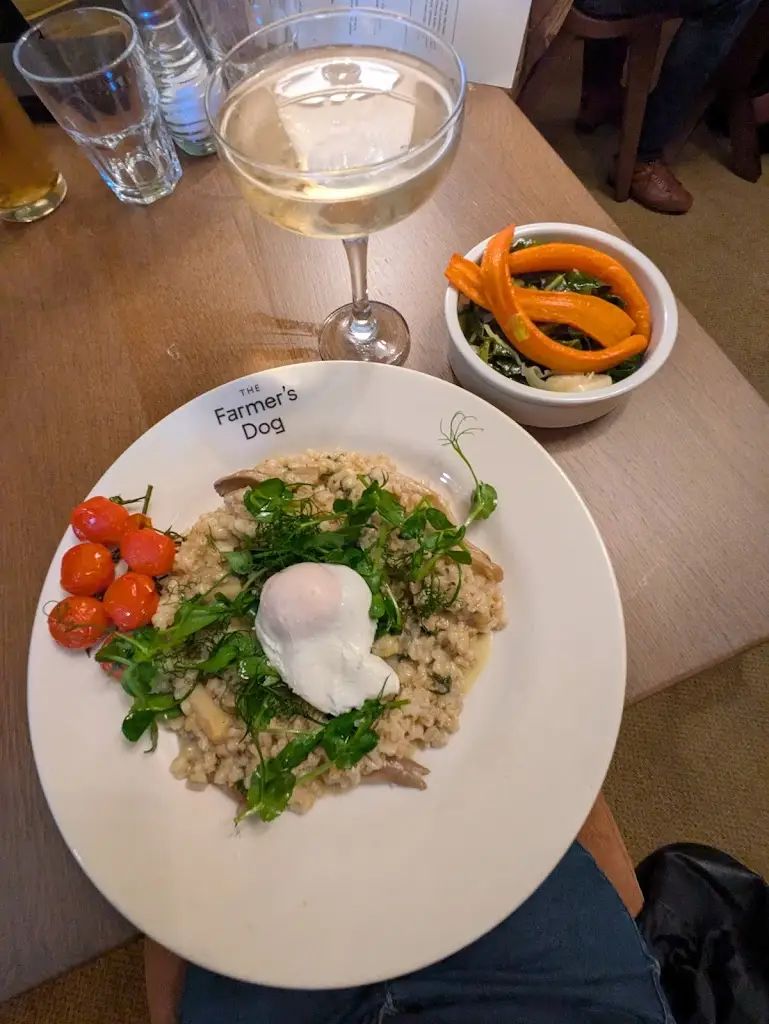 Karen Whitbread_The Farmer’s Dog_Burford_review