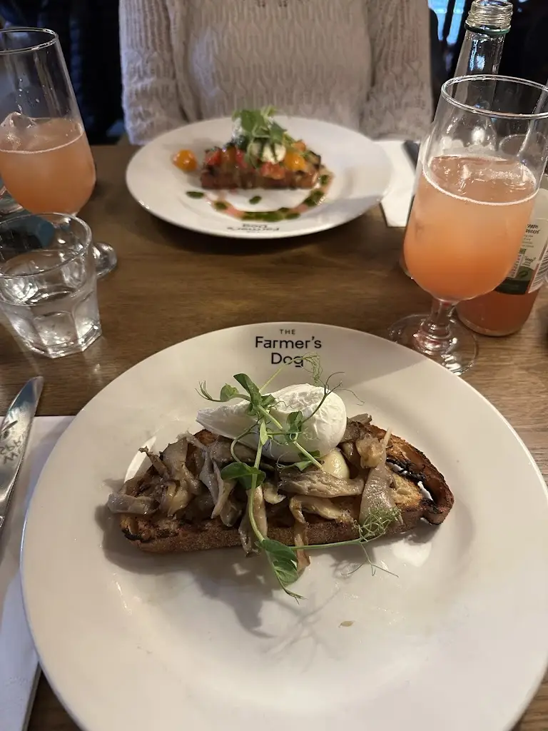 Caitlin Barcoe_The Farmer’s Dog_Burford_review