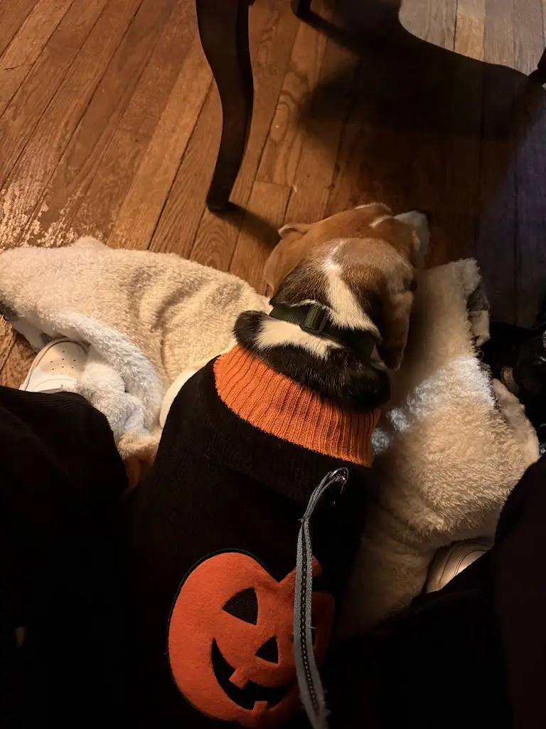 Neve Flanagan_The Prince of Burford_Burford_review