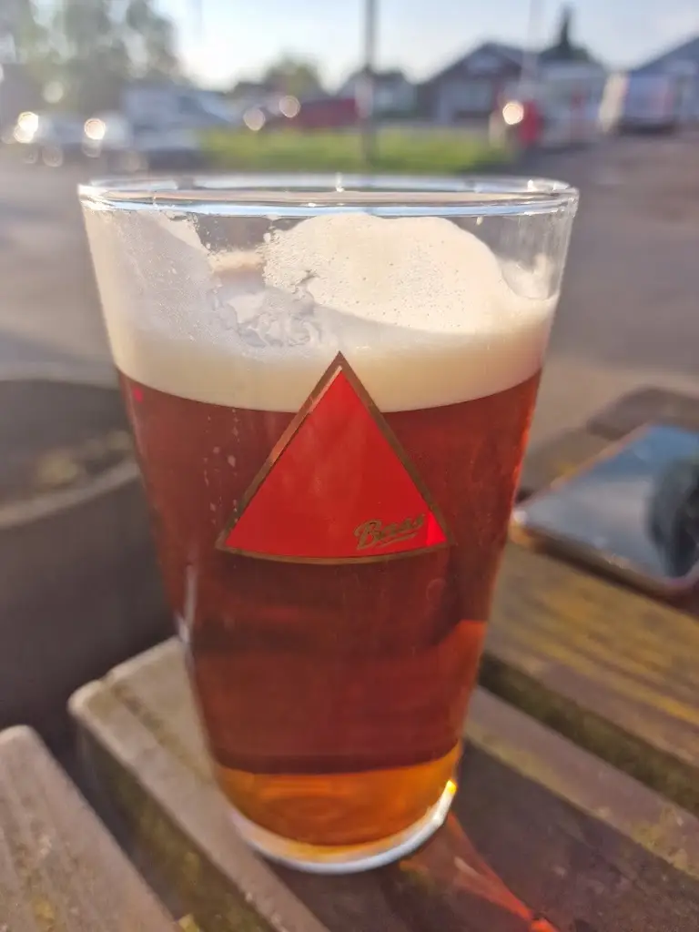 Menu_Old Chequers Inn_Bulkington_image_8