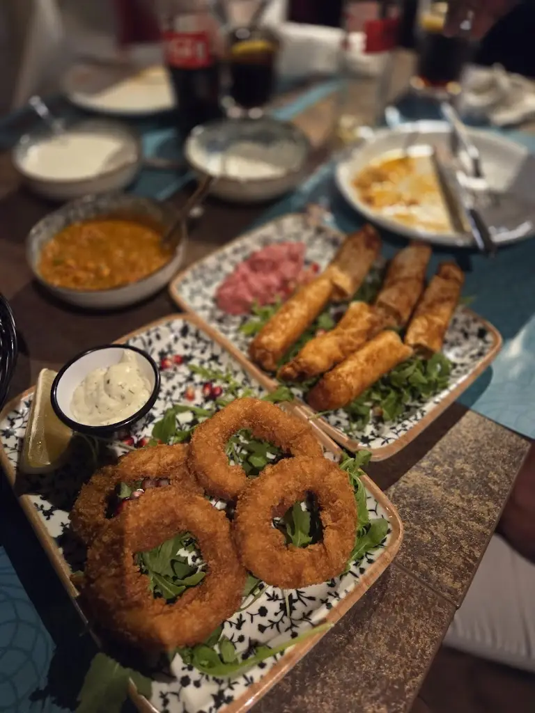 Priya S_Turkuaz Rochester_Burham_reseña